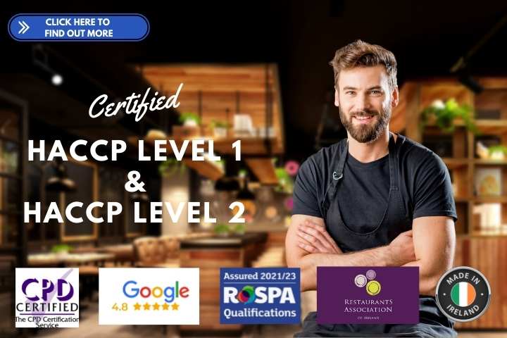 online haccp 2 training